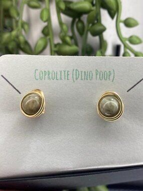 Fossilized Coprolite (Dino Poop) 6mm Wrapped Posts /Steel/Black Iron/ Stud